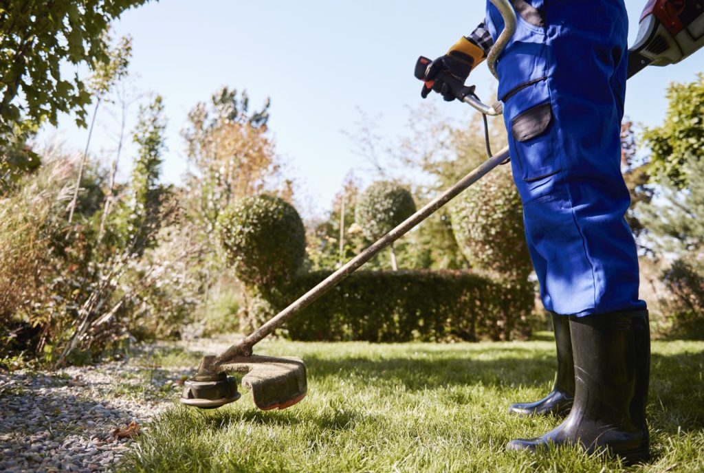 Seasonal Garden Maintenance